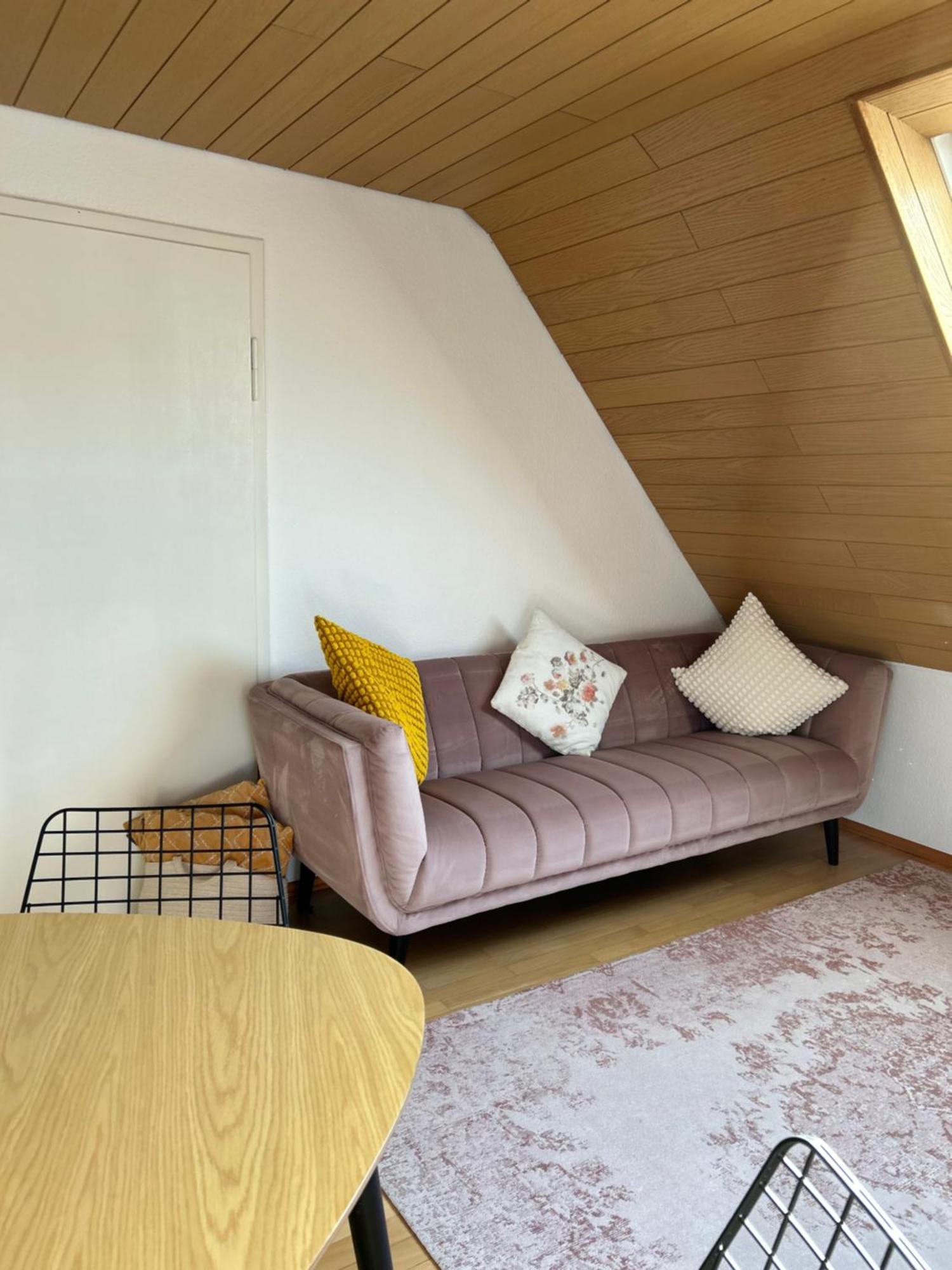 Appartement Feriendomizile Menholz à Balingen Extérieur photo